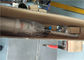 Transferência pneumática da espuma do pulverizador bombeia o material de aço inoxidável do corpo 304 fornecedor